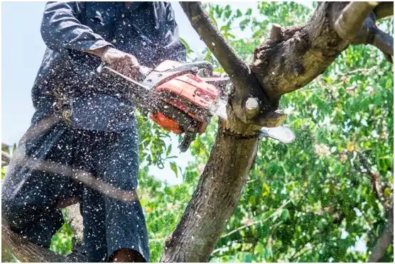 tree services West Allis